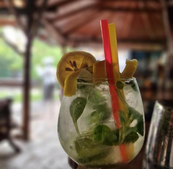 بنسيون Casa Bucatarului