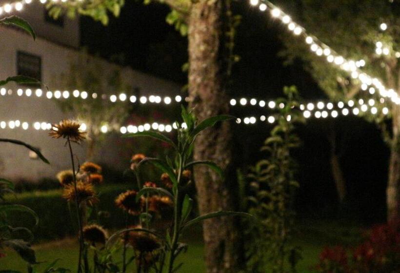 פנסיון Casa De Piellas