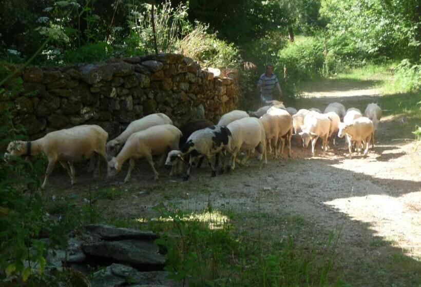 פנסיון Casa De Piellas