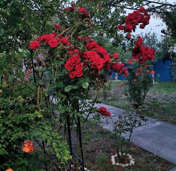 פנסיון Casa Mattia