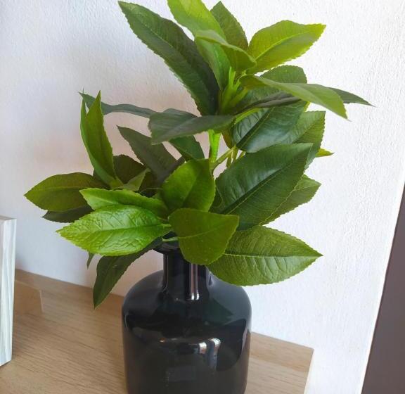 پانسیون Casa Pereira