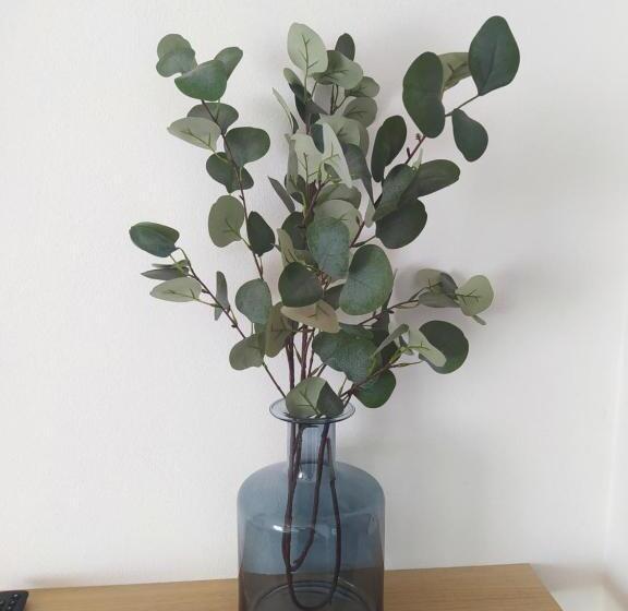 Пансион Casa Pereira