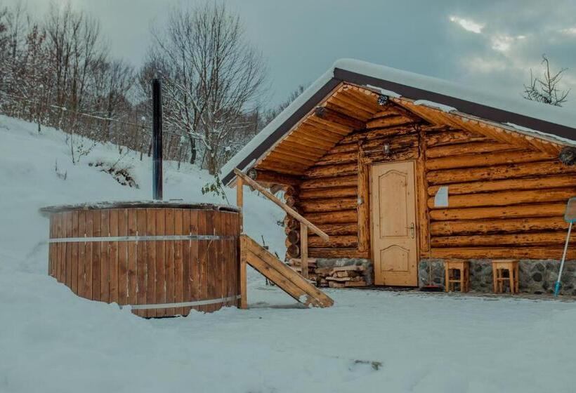 Пансион Conacul Drahneilor