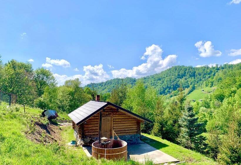 Пансион Conacul Drahneilor