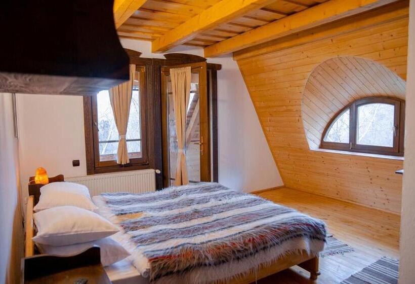 Пансион Conacul Drahneilor