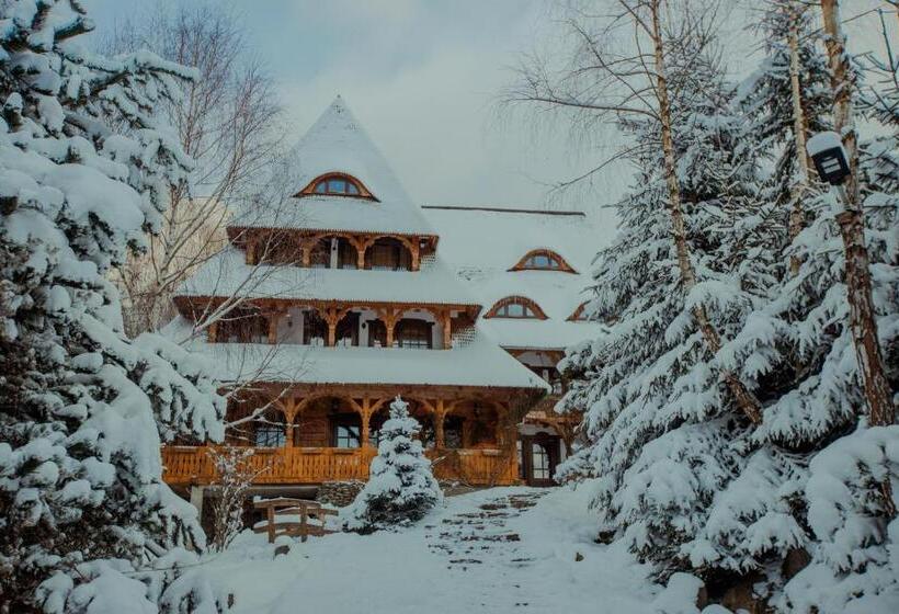 Пансион Conacul Drahneilor