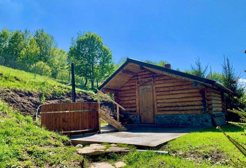 Пансион Conacul Drahneilor