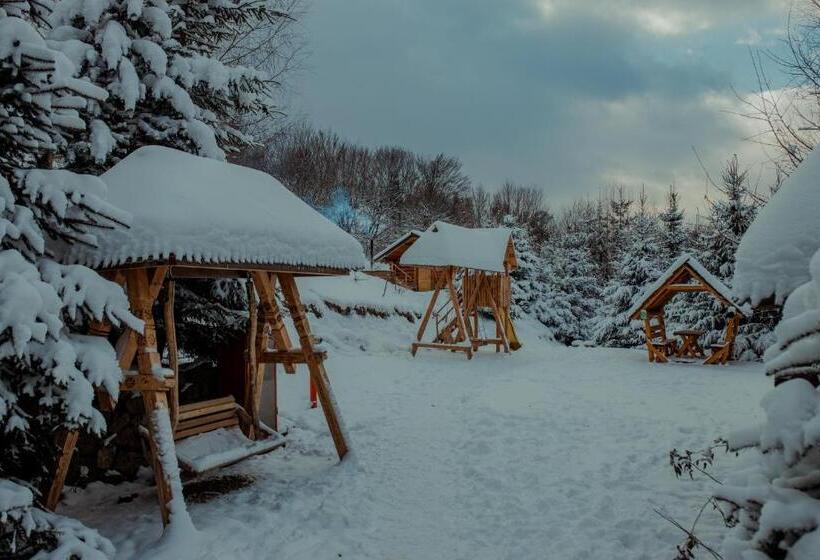 Пансион Conacul Drahneilor