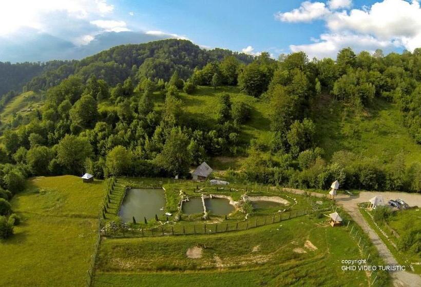 Пансион Conacul Drahneilor