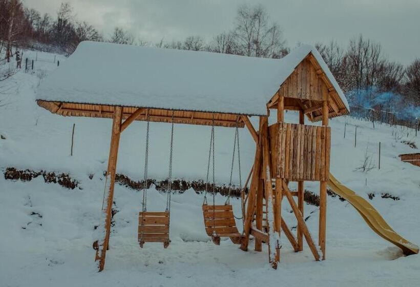 Пансион Conacul Drahneilor