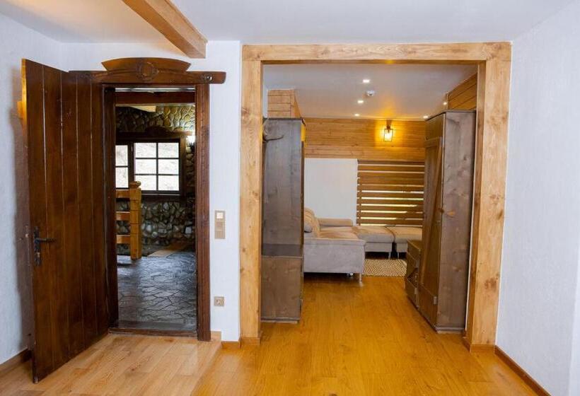 Пансион Conacul Drahneilor