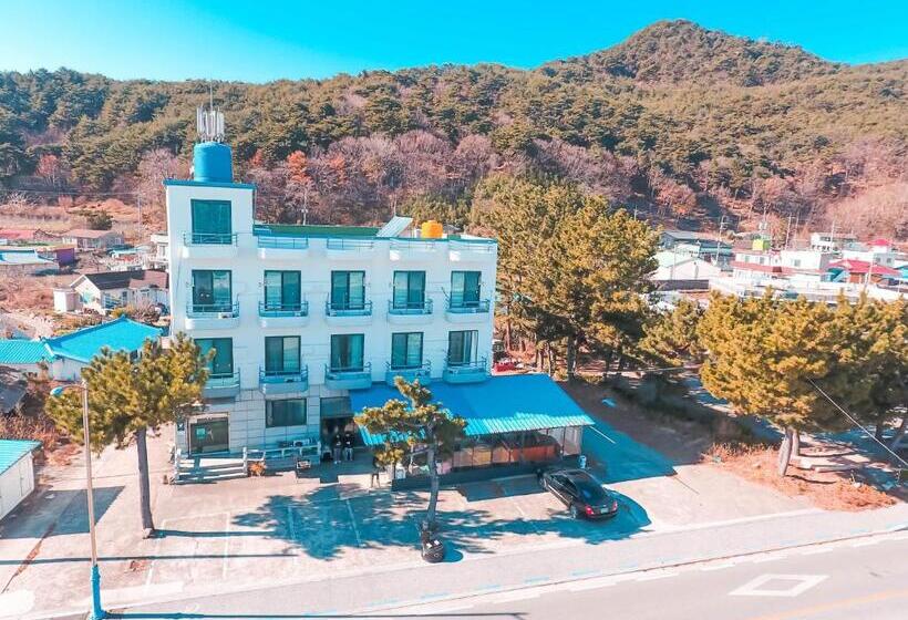 بنسيون Gangneung Hostel