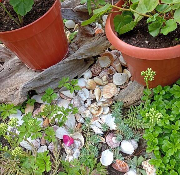 بنسيون Guest House Kotva