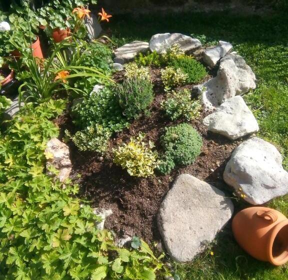 بنسيون Guest House Kotva