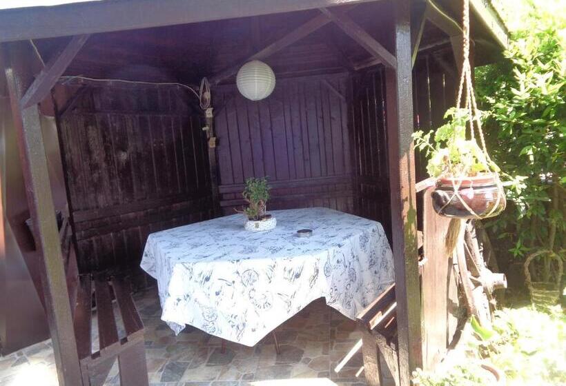 بنسيون Guest House Kotva