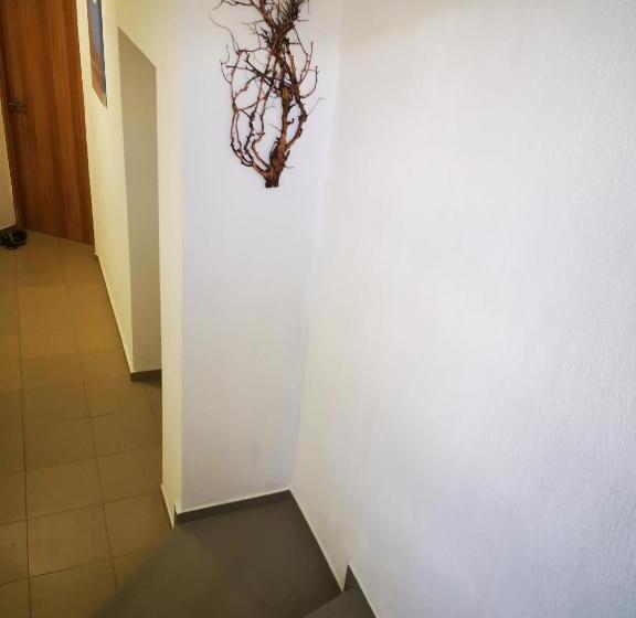 膳宿费 Guest House Petrovi