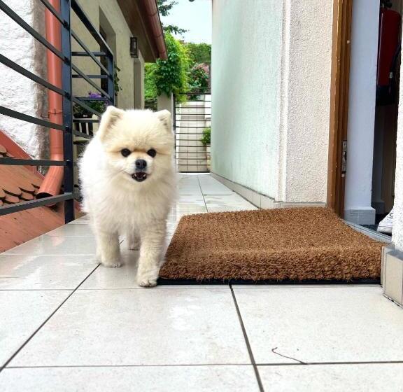 پانسیون Penzion šaldorf