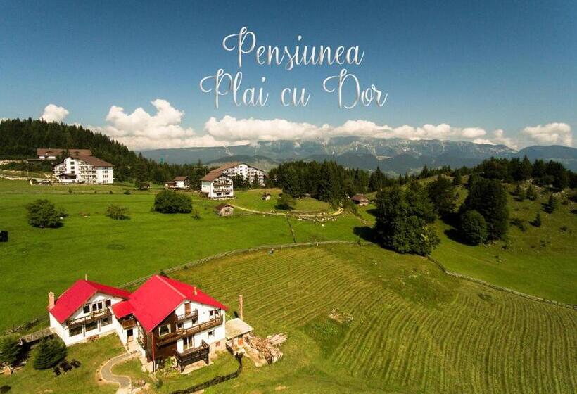 بنسيون Plai Cu Dor Fundata