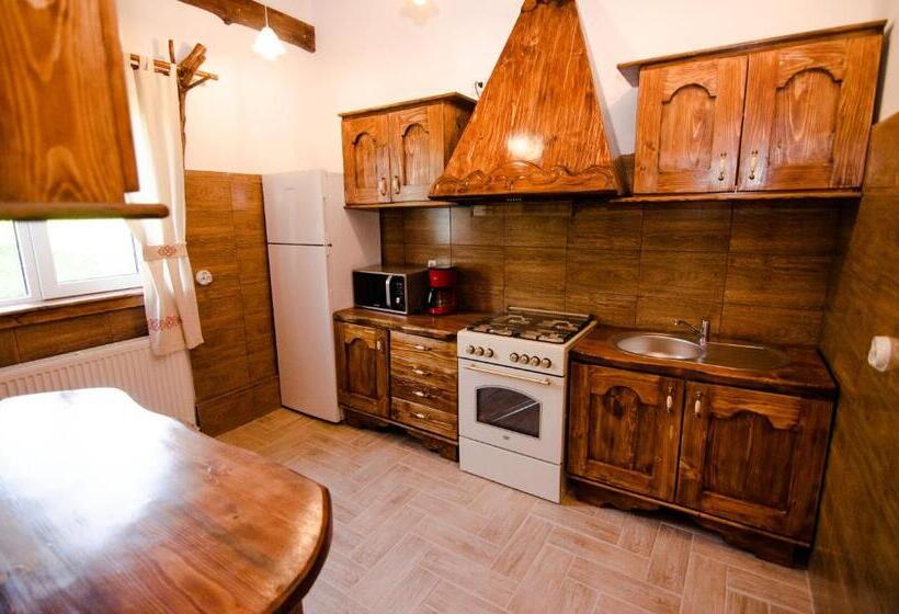 بنسيون Plai Cu Dor Fundata