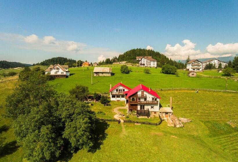 بنسيون Plai Cu Dor Fundata