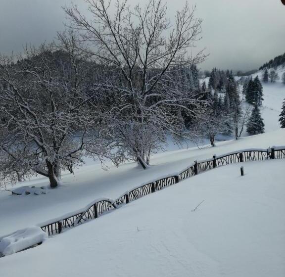 بنسيون Plai Cu Dor Fundata