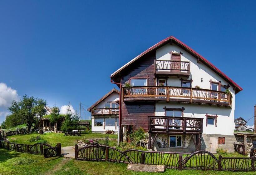 بنسيون Plai Cu Dor Fundata