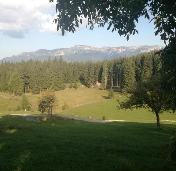 بنسيون Plai Cu Dor Fundata