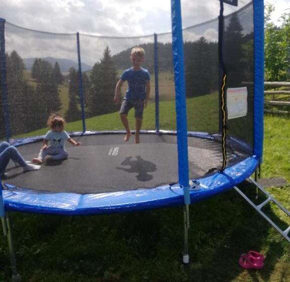 بنسيون Plai Cu Dor Fundata