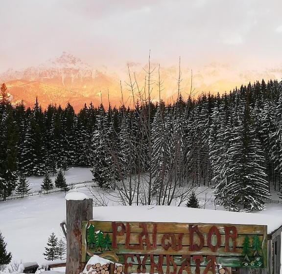 بنسيون Plai Cu Dor Fundata