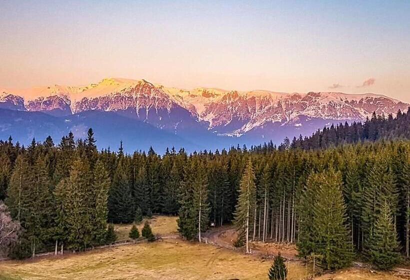 بنسيون Plai Cu Dor Fundata