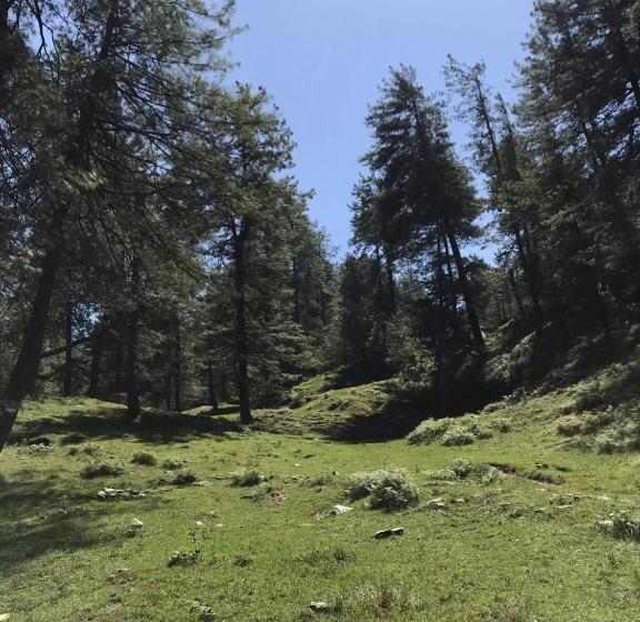 بنسيون Snow Abode Narkanda