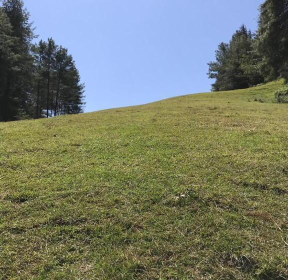 بنسيون Snow Abode Narkanda