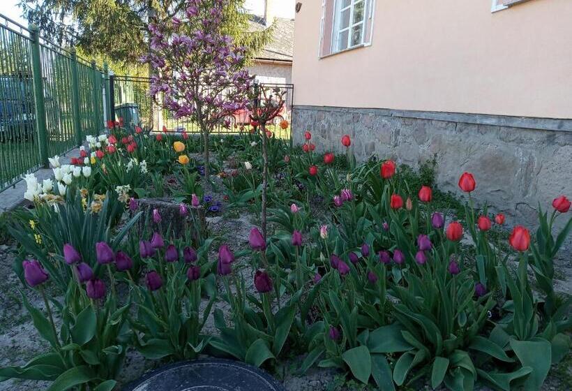 פנסיון Sprencz Családi Major