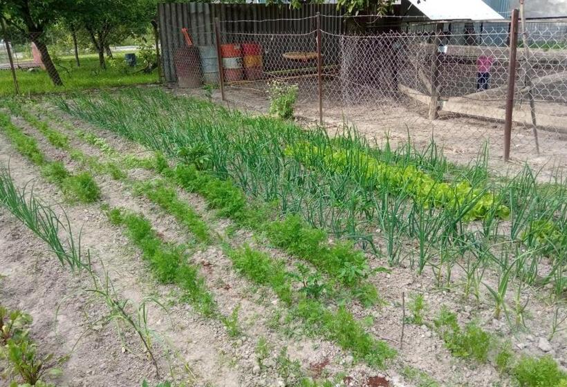 פנסיון Sprencz Családi Major