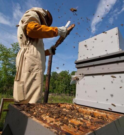 פנסיון Sprencz Családi Major