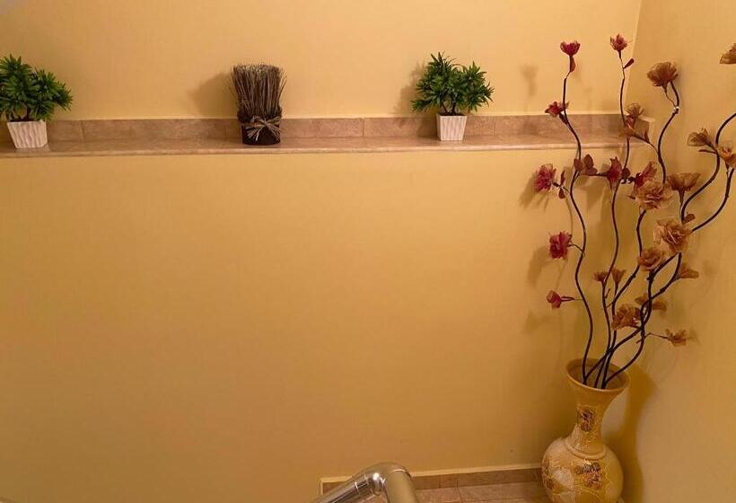 פנסיון Sunny Guest House Ravda