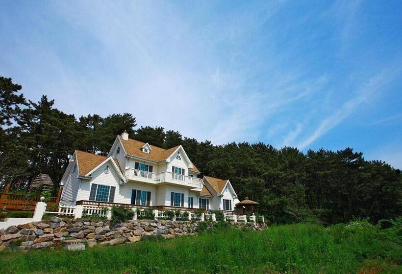 بنسيون Taean Gonggan 487