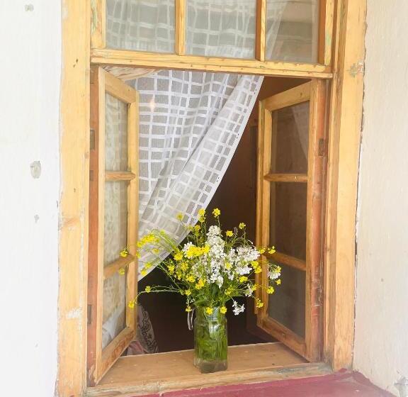 پانسیون Tamazi Guest House