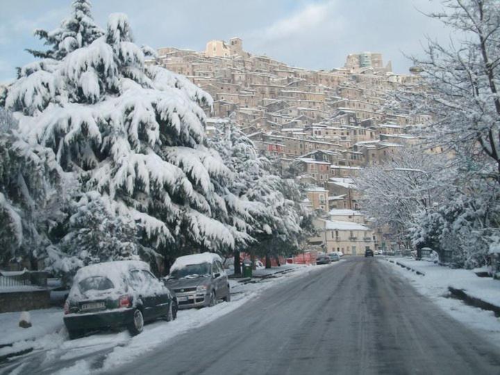 膳宿费 Villa Delle Rose B&b