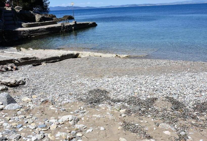 بنسيون Villa Nerina