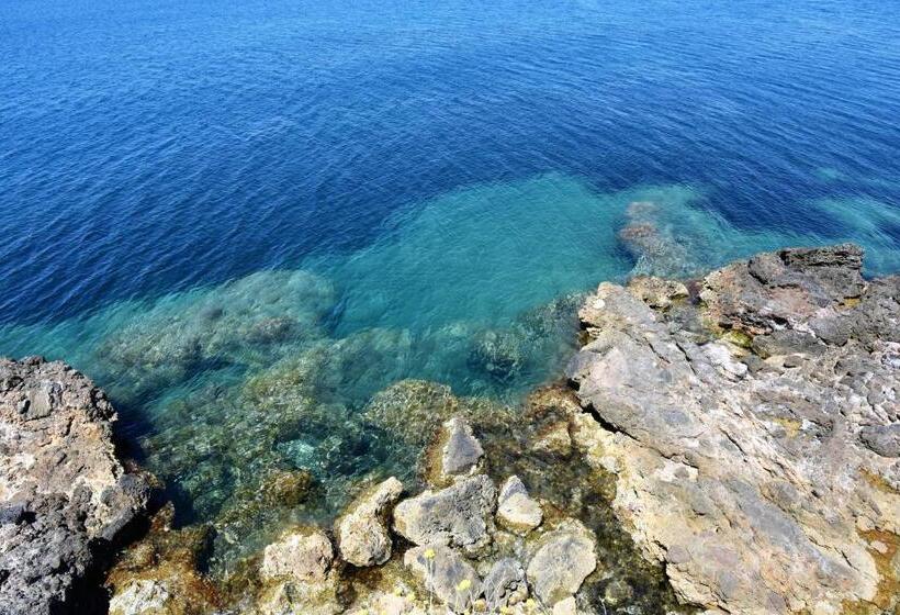 بنسيون Villa Nerina