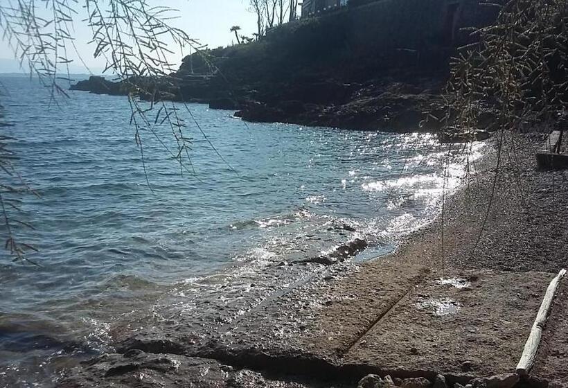 بنسيون Villa Nerina