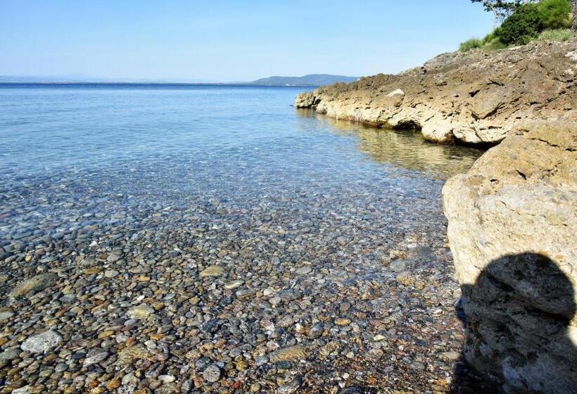 بنسيون Villa Nerina