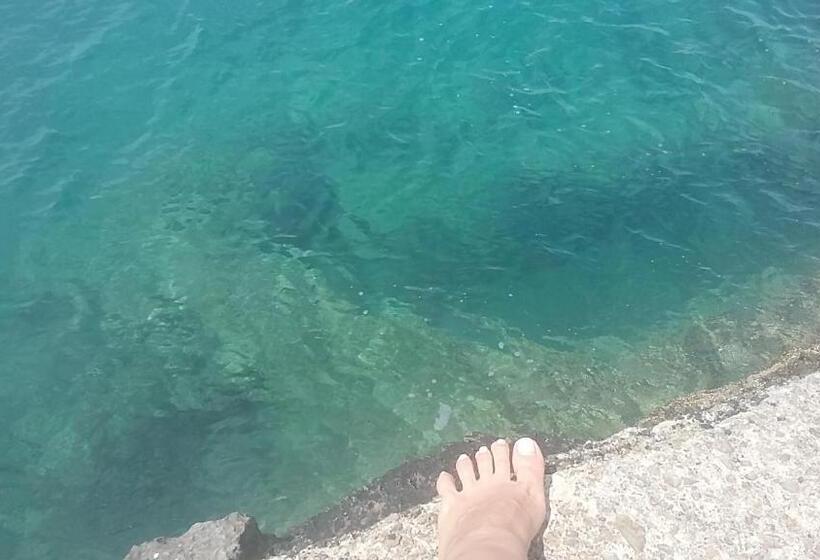 بنسيون Villa Nerina