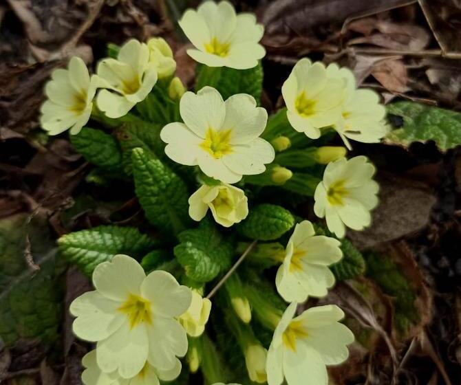 Pensiony A Ubytování V Kempu Indiana