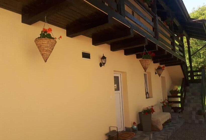 Pensiunea Casa Godja