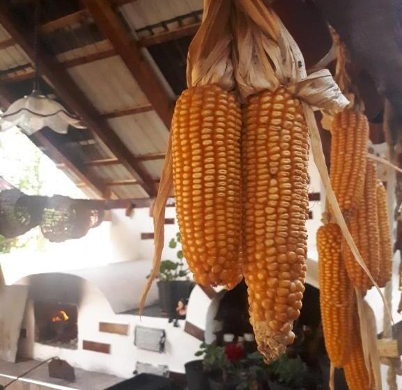 Pensiunea Casa Godja