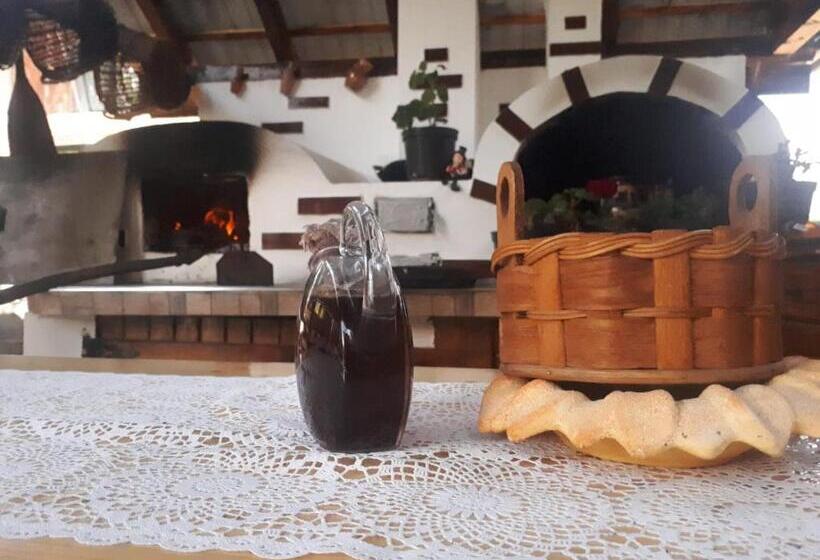 Pensiunea Casa Godja