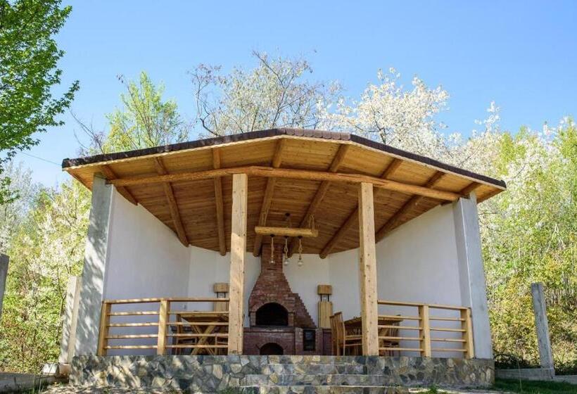 Pensiunea Casa Sofia