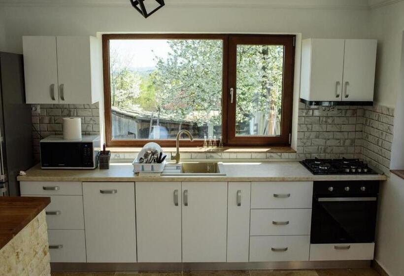 Pensiunea Casa Sofia